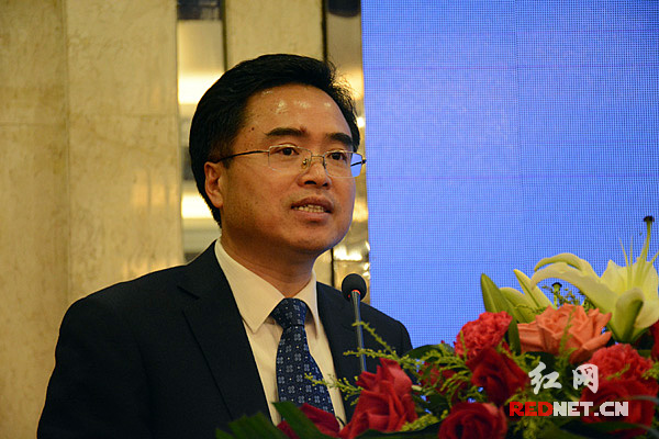中国电建集团中南勘测设计研究院有限公司副院长容江致辞。