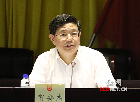 湖南省委组织部副部长、省人社厅党组书记、厅长贺安杰讲话。